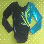 Long sleeved leotard back - British Gymnastics - Stortford Gymnastics