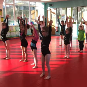 Special Educational Needs - Stortford Gymnastics